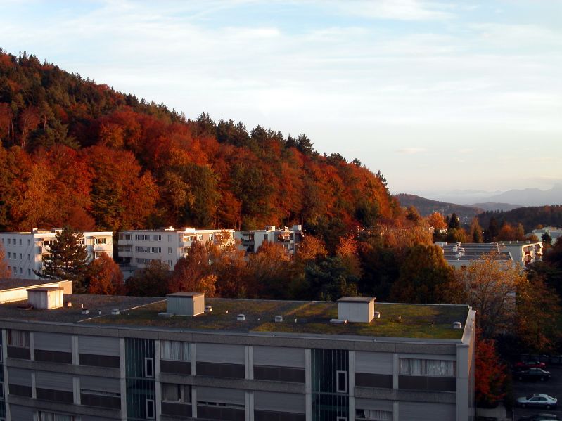 Herbststimmung an der L�ngfeldstrasse